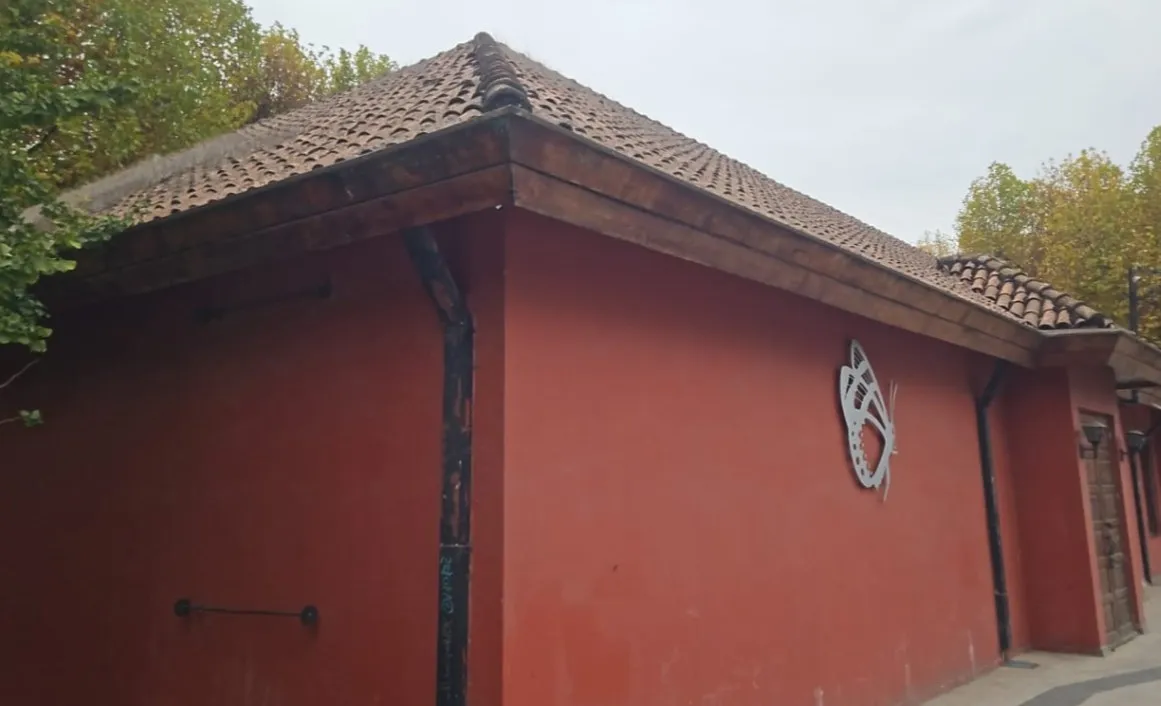 Conservación Museo de Historia Natural de Concepción, foto 2